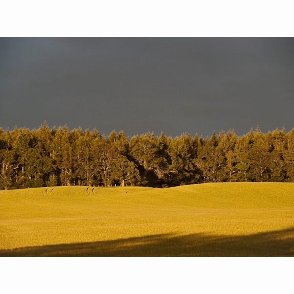 Gallowhill. Cargill