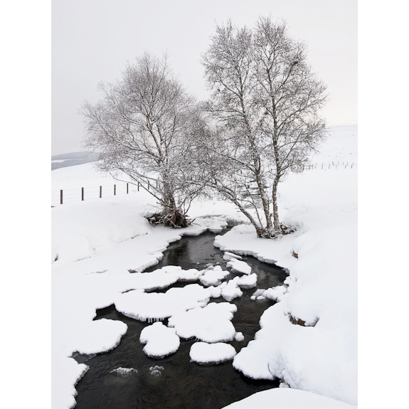 Strathardle