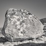 Boulder #20 Crungie Clach © George Logan 2026.