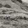Gleann Taitneach. © George Logan