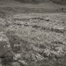 Duke's Lairs, Glen Isla. © George Logan