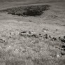 Gleann Taitneach. © George Logan