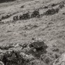 Gleann Taitneach. © George Logan