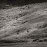 Gleann Taitneach. © George Logan