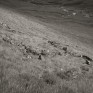 Gleann Taitneach. © George Logan