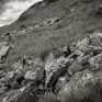 Gleann Taitneach. © George Logan