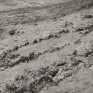 Gleann Taitneach. © George Logan