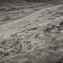 Gleann Taitneach. © George Logan