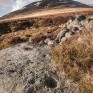 Cup marked rock, Glen Beanie. © George Logan