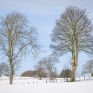 Nr. Abernyte. © George Logan