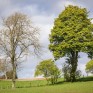 Nr. Abernyte. © George Logan