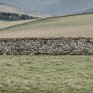from 'and the silence falls' (work in progress). © George Logan