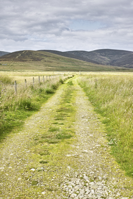 Track in Glen Moy &copy; George Logan