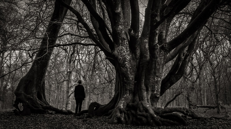 Untitled film still &copy; George Logan / Chris Partridge