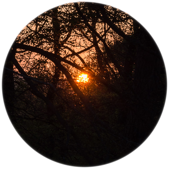 sunset&copy; George Logan