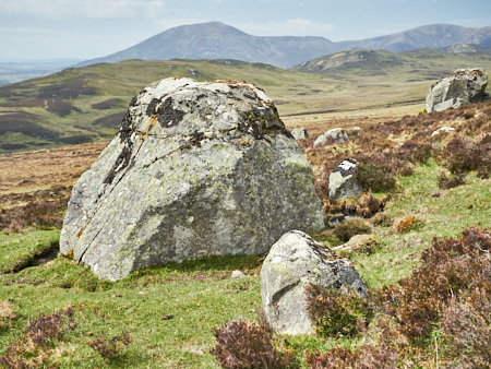 Erratic boulder &copy;George Logan