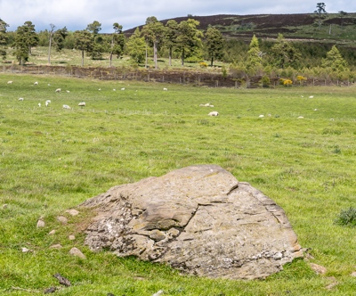 cup marked stone &copy; George Logan