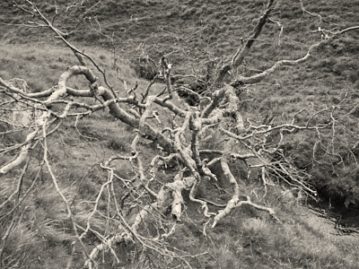 Gleann Beag &copy; George Logan 2026