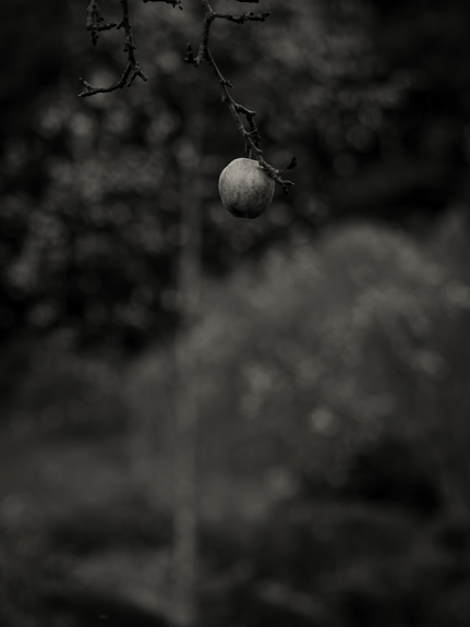 Craigdallie &copy; George Logan