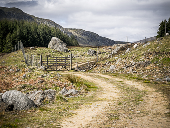 glen beanie &copy; George Logan