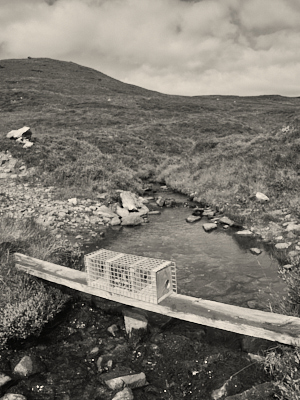 trap Gleann Beag © George Logan 2026